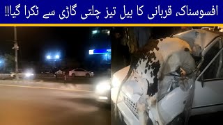 Live Car Cow Accident || Speedy Car Hits Cow on Road || Dangerous Cow Accident in Rawalpindi