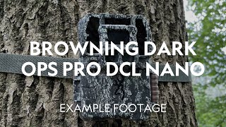 Example Footage | Browning Dark Ops Pro DCL Nano Trail Camera