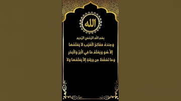 تلاوة مميزة سورة الأنعام (59) الشيخ ياسر سلامة