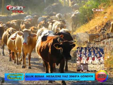 EKİNTÜRK SERVET ŞAHİN & GAMZE AYDIN (DOYUMSUZ TÜRKÜLER) 06.05.2016*2