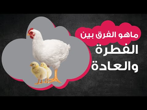 فيديو: ما هو الفرق بين الغريزة والسلوك المكتسب؟