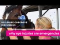 Horse eye injuries are emergencies when to call the vet