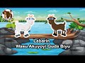 Labarin Wasu Akuyoyi Guda Biyu Hausa Cartoon