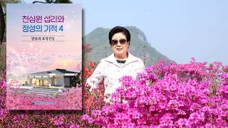 [ AI해설 ] 천심원 섬리와 정성의 기적4 (말씀과 효정간증)_(TC-304-KR)