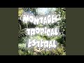 MONTAGEM TROPICAL ESTERAL ULTRA SLOWED 