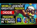 RAFFLESIA DIGGIE FEED TUTORIAL | LEARN THIS IN 10 MINUTES | MLBB