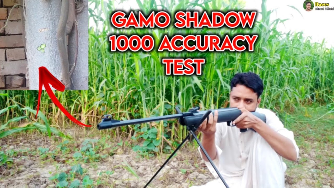 Test de la carabine Black Shadow IGT de Gamo