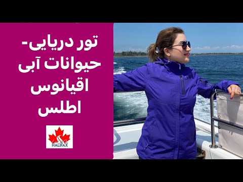 زیبایی هایی لوننبرگ کانادا - Whale Watching