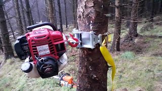 Przenośna wciągarka leśna PCW3000 - wciąganie zawieszonych drzew za pomocą krążka przekierowującego olinowanie.