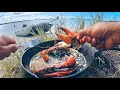 Solo Beach Camping MUD CRAB MISSION, Living From The Ocean - Part 2