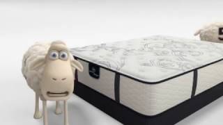 The Serta Counting Sheep In youre Not Helping