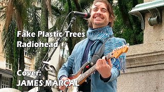 Fake Plastic Trees (Radiohead) Cover by James Marçal