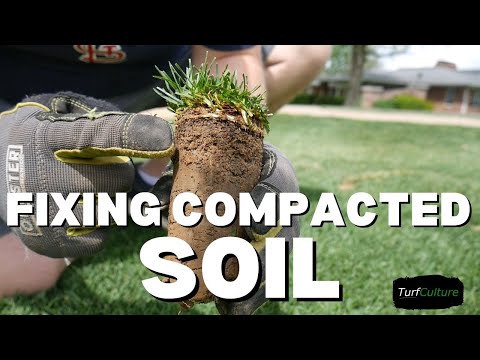 Fixing Compacted Soil // Core Aeration & Sand Topdressing