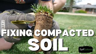 Fixing Compacted Soil // Core Aeration & Sand Topdressing screenshot 1