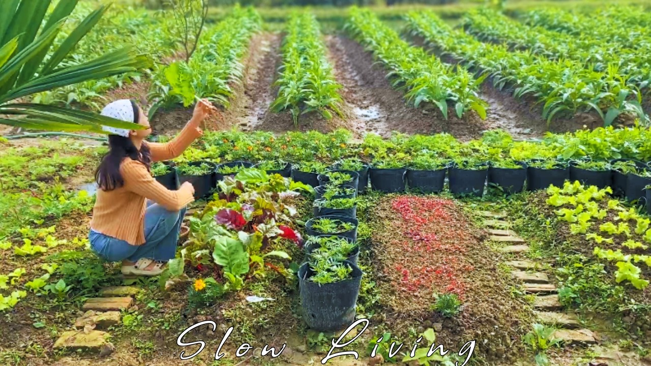 Seasonal Slow Living I Farm to Table Cooking I February Winter Harvest I Rustic Feasts 🌿