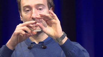 ExeTalks: Dr Stefano Pagliara, Biosciences