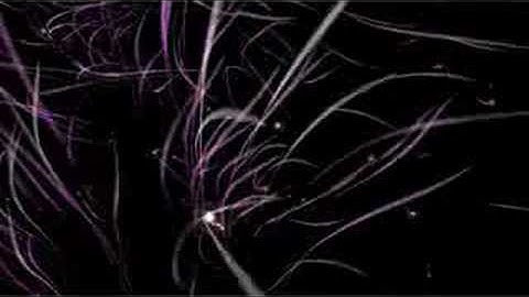 iTunes 8 visualizer playing Nachtcafe