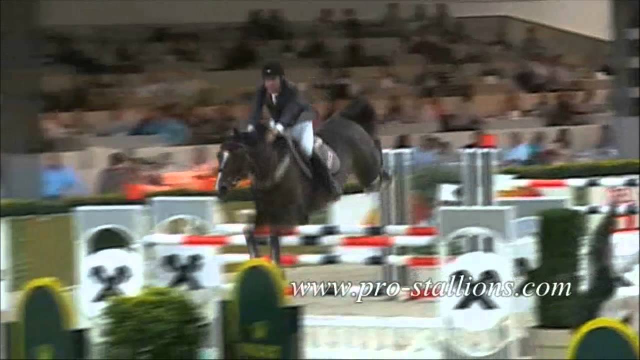 Equestrian Hall Of Fame YouTube