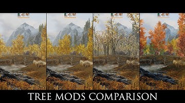 Skyrim SE Mods: Tree Mods Comparison ( Skyrim 3D Trees, SFO, EVT, Forests of Dibella )