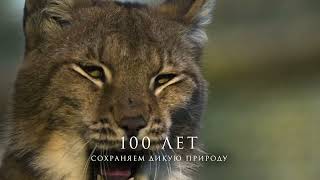 Рекламный видеоролик к 100-летию Березинского заповедника