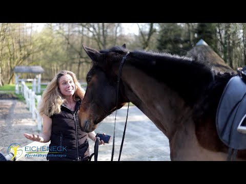 Video: Wie Wählt Man Ein Pferd Aus