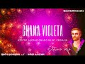 Chama Violeta Meditação Guiada - Saint Germain e o 7º raio (limpeza de 21 dias) Mp3 Song