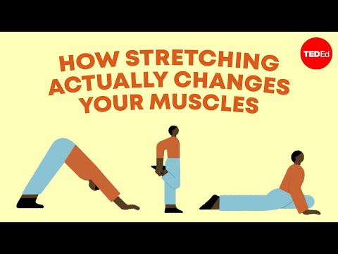 Video: Hvad betyder stretchiest?