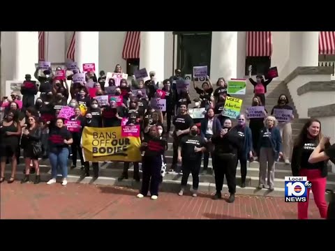 Florida lawmakers speak on 2 year anniversary of Dobbs decision