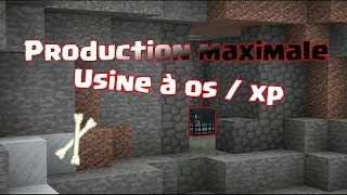 Spawner à squelettes Paladium: Comment l'optimiser au maximum