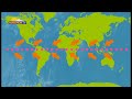 Do whales and dolphins cross the equator  whalezonetv s1e4