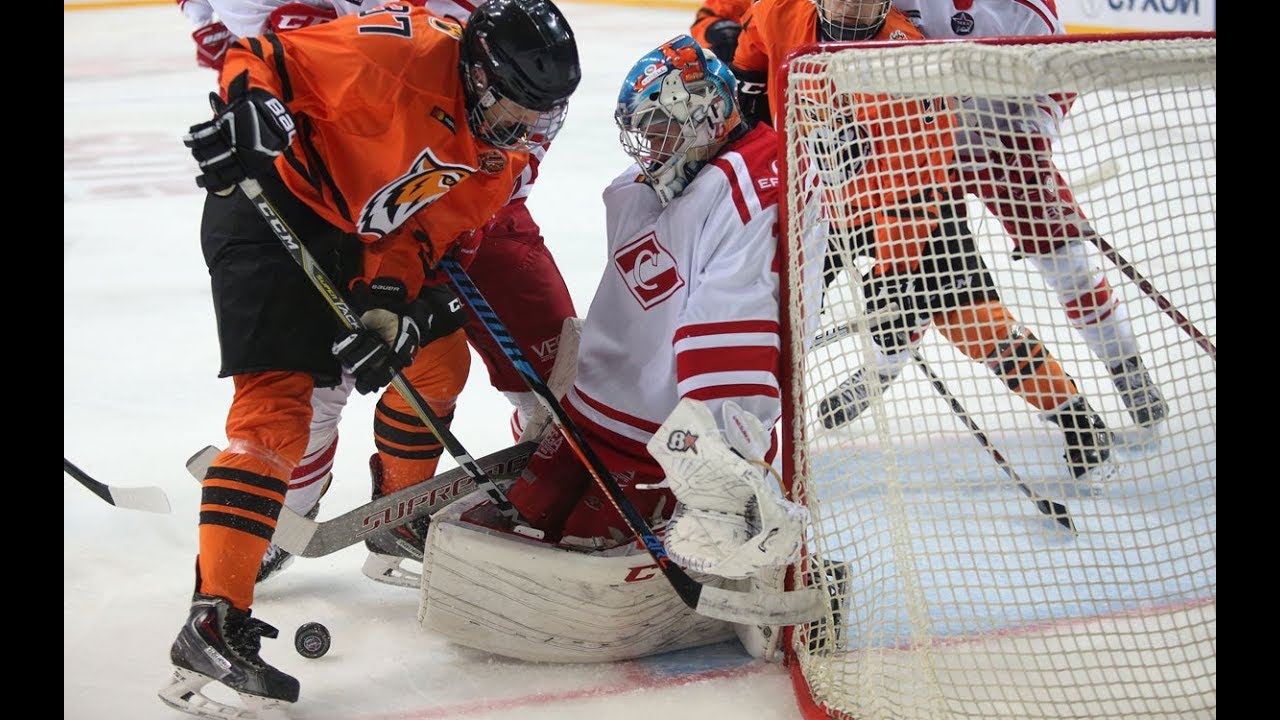 Хоккейные игры амура. Princeton Tigers Ice Hockey.