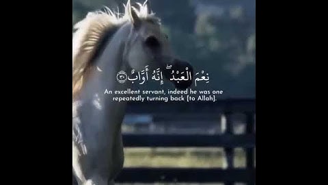 ووهبنا لداوود سليمان (سوره ص) القارئ إسلام صبحي 💜