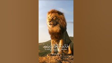 آيات القرآن الكريم(4)