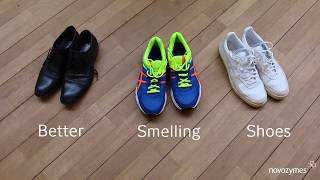 Bacteria can do much more than make your shoes smell. companies like
novozymes utilize for their many benefits. example, and other type...
