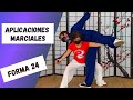 👉🏻 ¡ESTAS son las APLICACIONES MARCIALES de la FORMA de 24! 😁 [Taichi / Taijiquan]