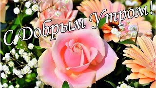 С Добрым Утром !🌼Желаю Самого Доброго Солнечного Утра!🌼  Шикарная Музыкальная Открытка 🌼