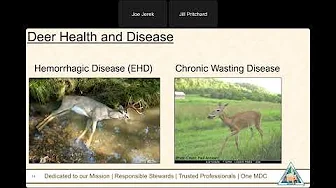 MDC Wild Webcast on Deer Management - September 29, 2025