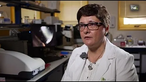 HDL Ana Cmara, herramientas para acabar con enferm...