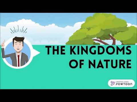 Kingdoms of Nature