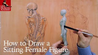 How to Draw a Sitting Female Figure screenshot 2