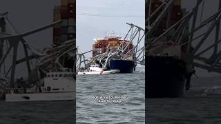 Baltimore bridge collapses after being struck by ship #shorts
