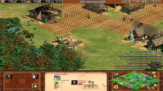 Age of Empires II HD 