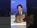 放送事故！ニュース中にジッと座ってられない猫ちゃん