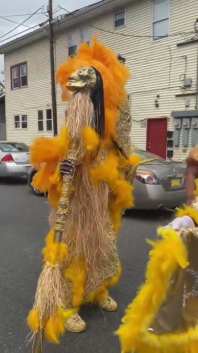 mardi gras parades on the westbank