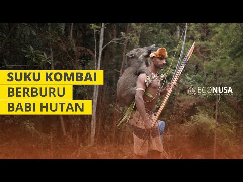 Video: Bagaimana Orang Berburu