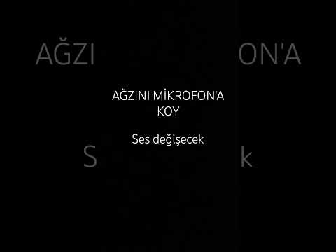 ağızını mikrofon'a koy ses değişicek