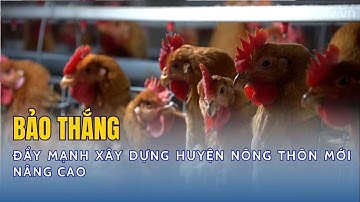 Bảo Thắng đẩy mạnh xây dựng huyện nông thôn mới nâng cao | THLC