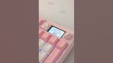 Chilkey ND104 🌸✨