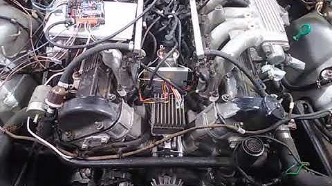 Jaguar V12  HE with Speeduino