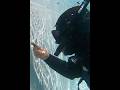 Fuite piscine Cestas 🔍 Test au colorant en plongée (spot suspect)